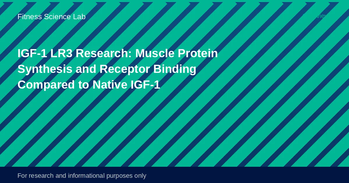 Molecular diagram comparing native IGF-1 and IGF-1 LR3 structural configurations with receptor binding site annotations